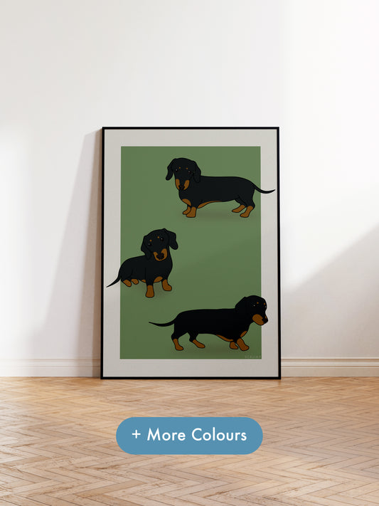 Colour Block Dachshund Print