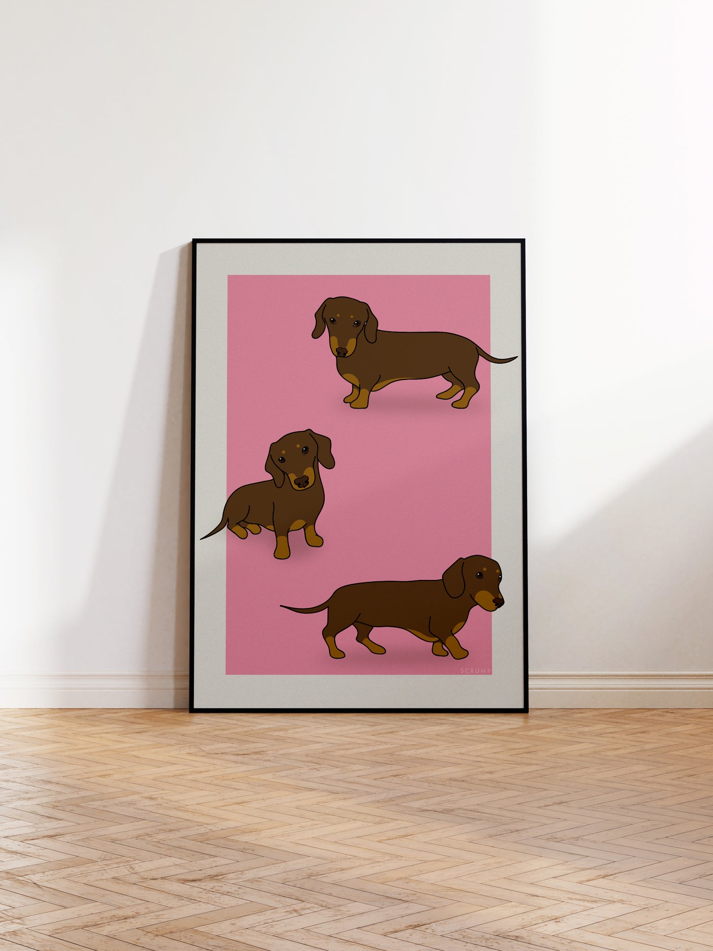 Colour Block Dachshund Print