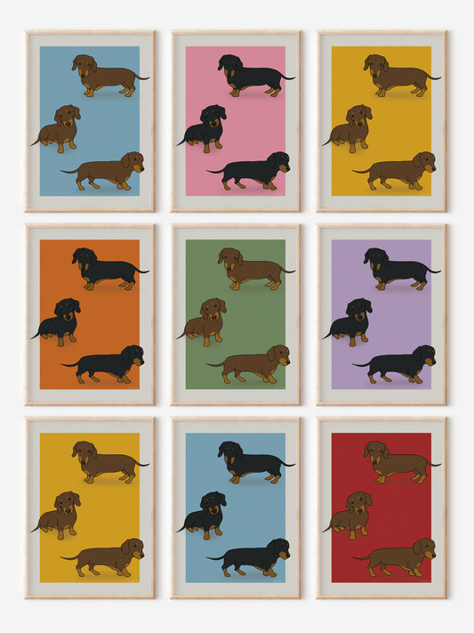 Colour Block Dachshund Print