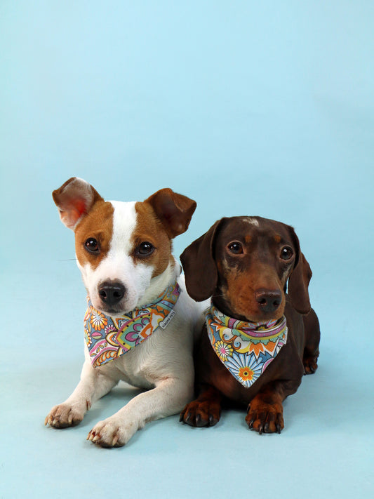 Bandana Ties